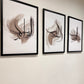 wall art, wall art wall art, home décor, home decorate, home of décor, homewares décor, posters prints, wall décor, wall prints, wall & décor, decor wall décor, wall wall décor, wall decor wall, wall with décor, wall decoration wall decoration, wall decor for walls, posters with frames, posters in a frame, frames with posters, home accessorize, islamic wall art, household décor, signs welcome, home for design, home to design, walls with posters, wall of posters, posters on a wall, wall art décor, wall art w