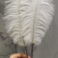 Luxury Feather Pen
