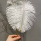 Luxury Feather Pen